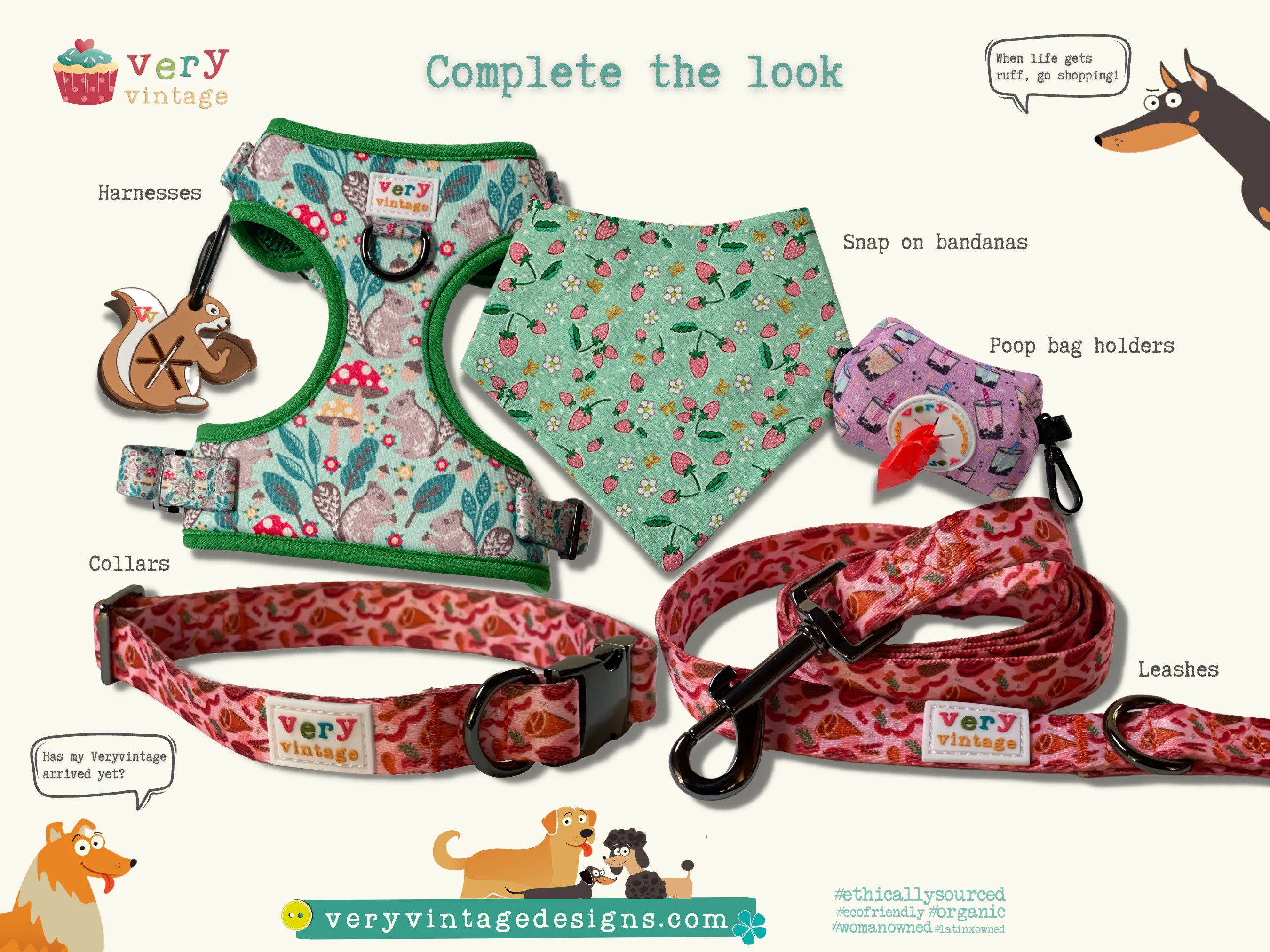 Pumpkin Spice - Recycled Eco-Friendly Collar & Leash