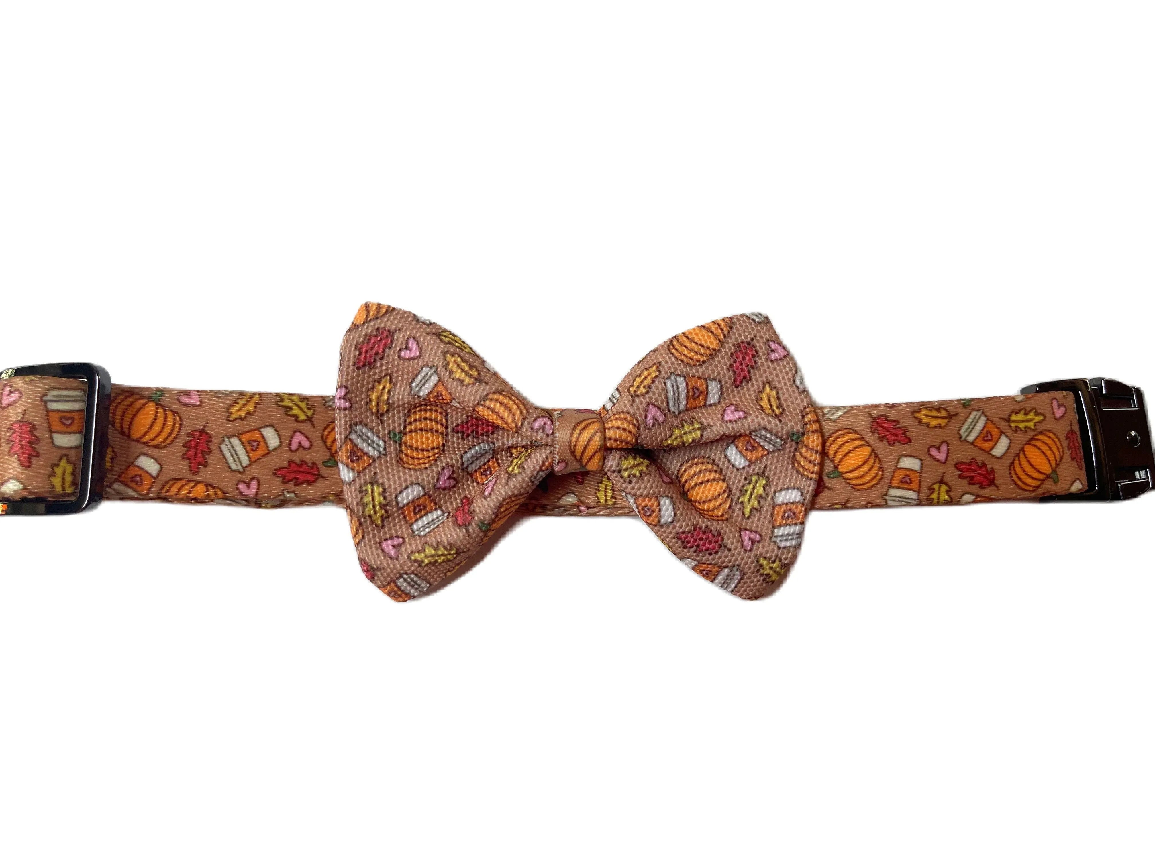 Pumpkin Spice - Recycled Eco-Friendly Collar & Leash