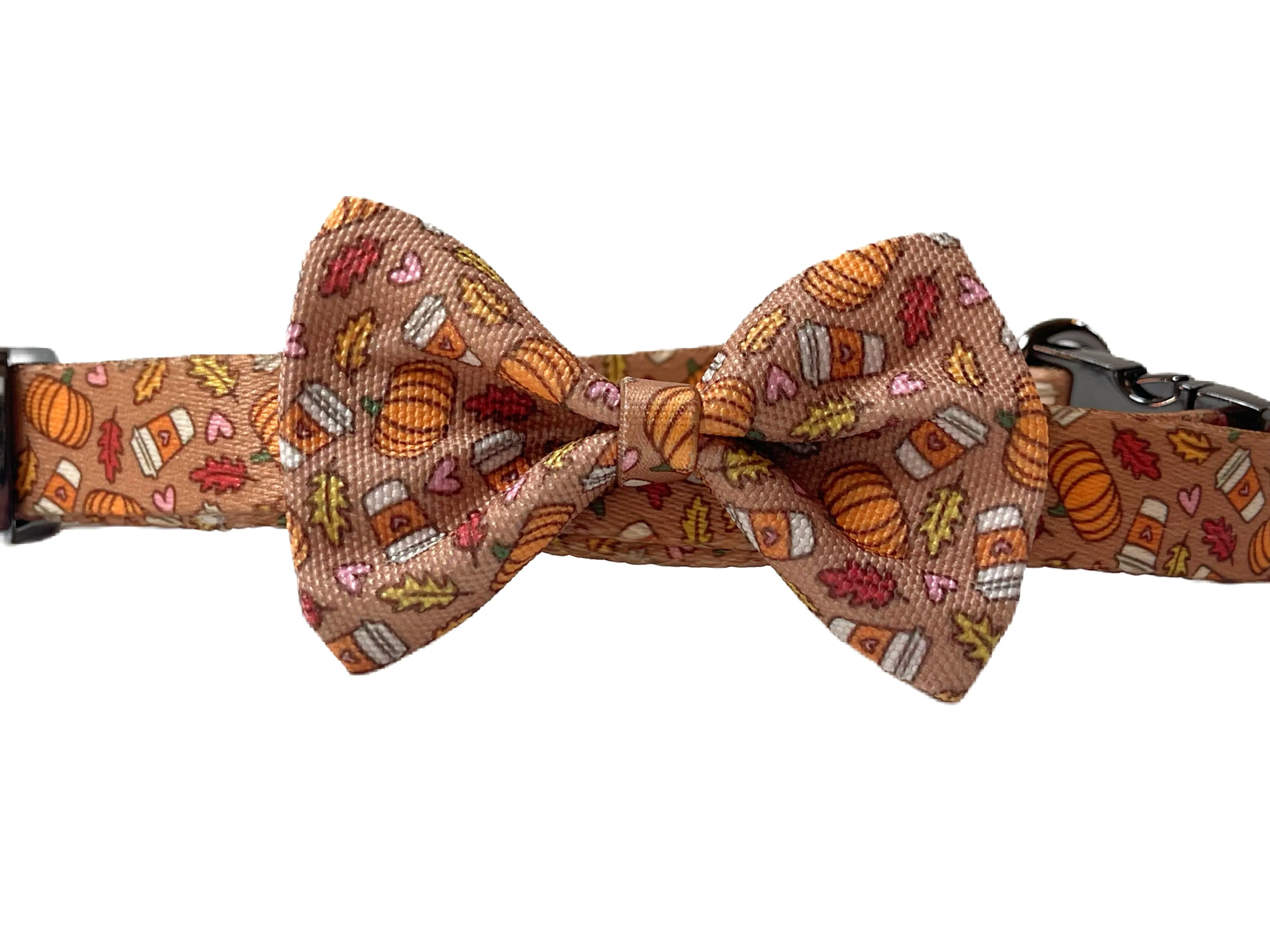 Pumpkin Spice - Recycled Eco-Friendly Collar & Leash