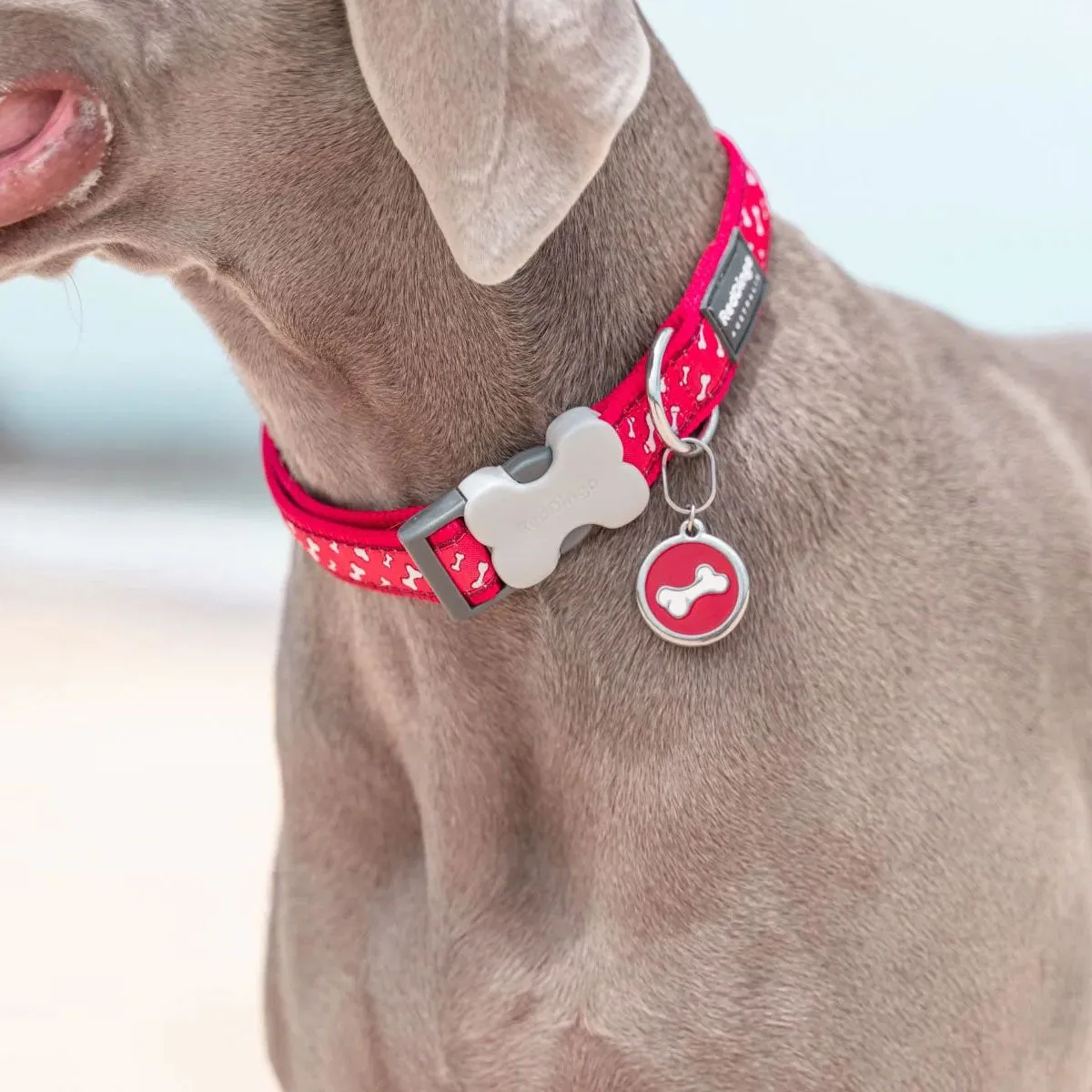 Red Dingo Diagonal Bone Pet ID Dog Tags