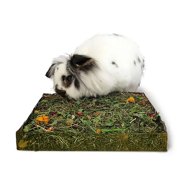 Rosewood Nibble N Dig Meadow