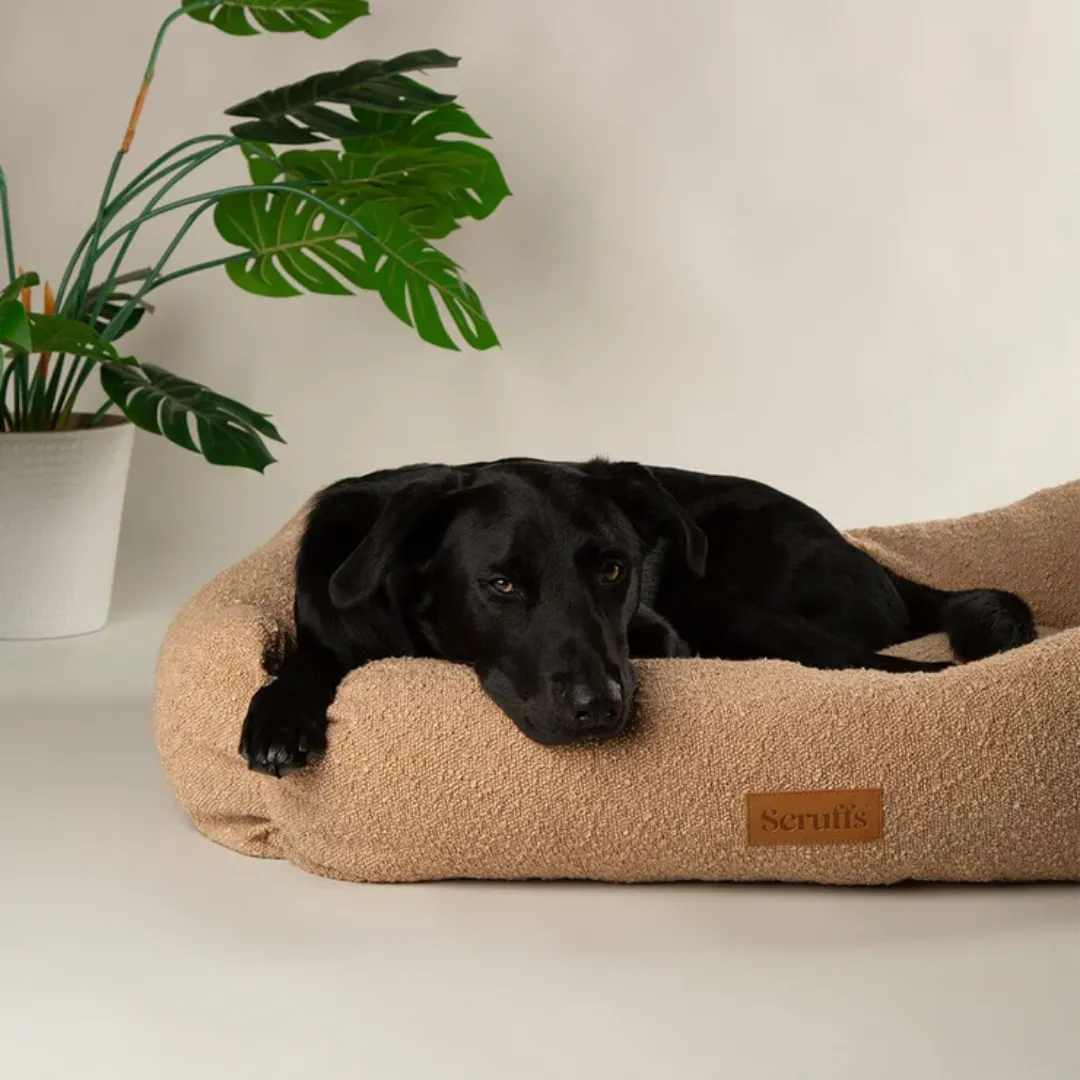 Scruffs Boucle Box Bed
