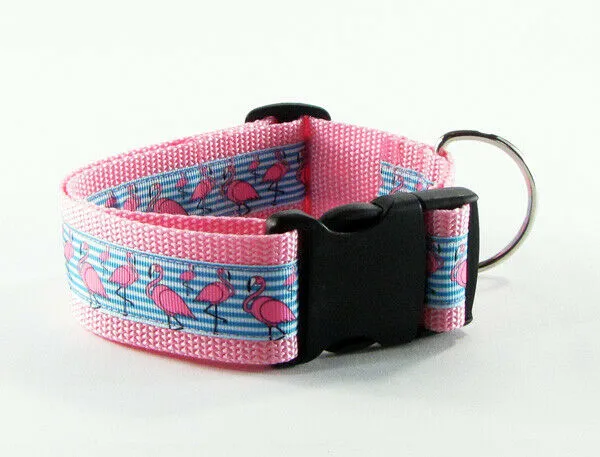 Sesame Street dog collar handmade adjustable buckle collar 1" wide or leash Petcollarshandmade
