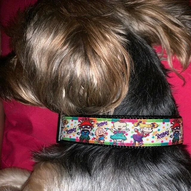 Spider-Man dog collar handmade adjustable buckle collar 1" wide or leash Petcollarshandmade