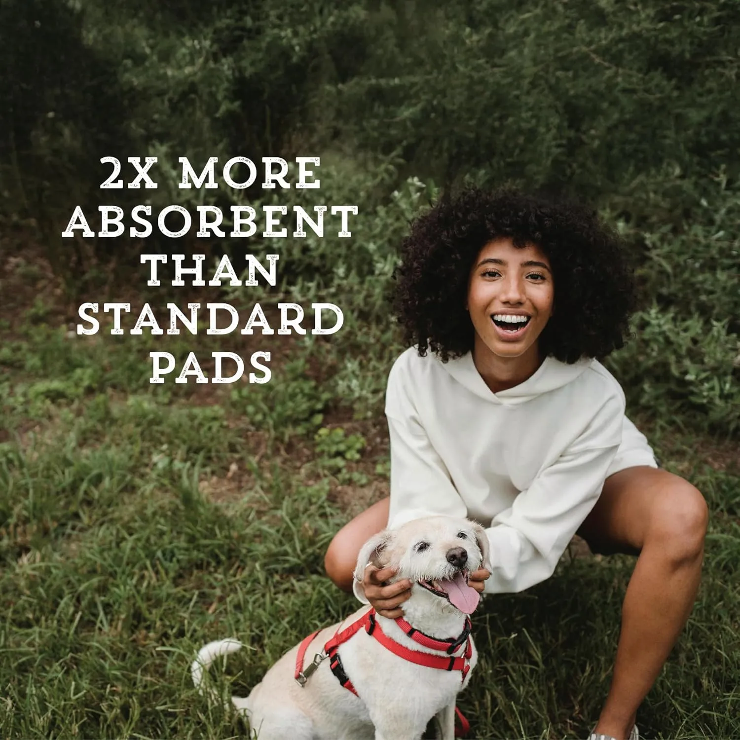 Ultra Absorbent Pet & Puppy Pads, 30, 50, 100 Count 22" x 22" Pee Pads for Dogs, Disposable Leak Proof Dog Training Pads, Quick Drying Underpads Puppy Essentials - PAW MOUNTAIN