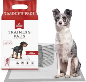 Ultra Absorbent Pet & Puppy Pads, 30, 50, 100 Count 22" x 22" Pee Pads for Dogs, Disposable Leak Proof Dog Training Pads, Quick Drying Underpads Puppy Essentials - PAW MOUNTAIN