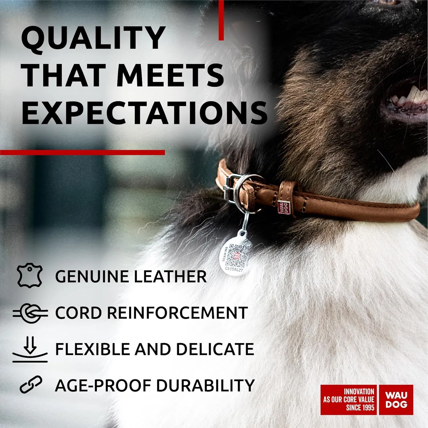 WAUDOG Ultra Soft Rolled Leather Collar - Soft Padded for Small, Medium, and Large Dogs - Puppy Collar for Male and Female Dogs