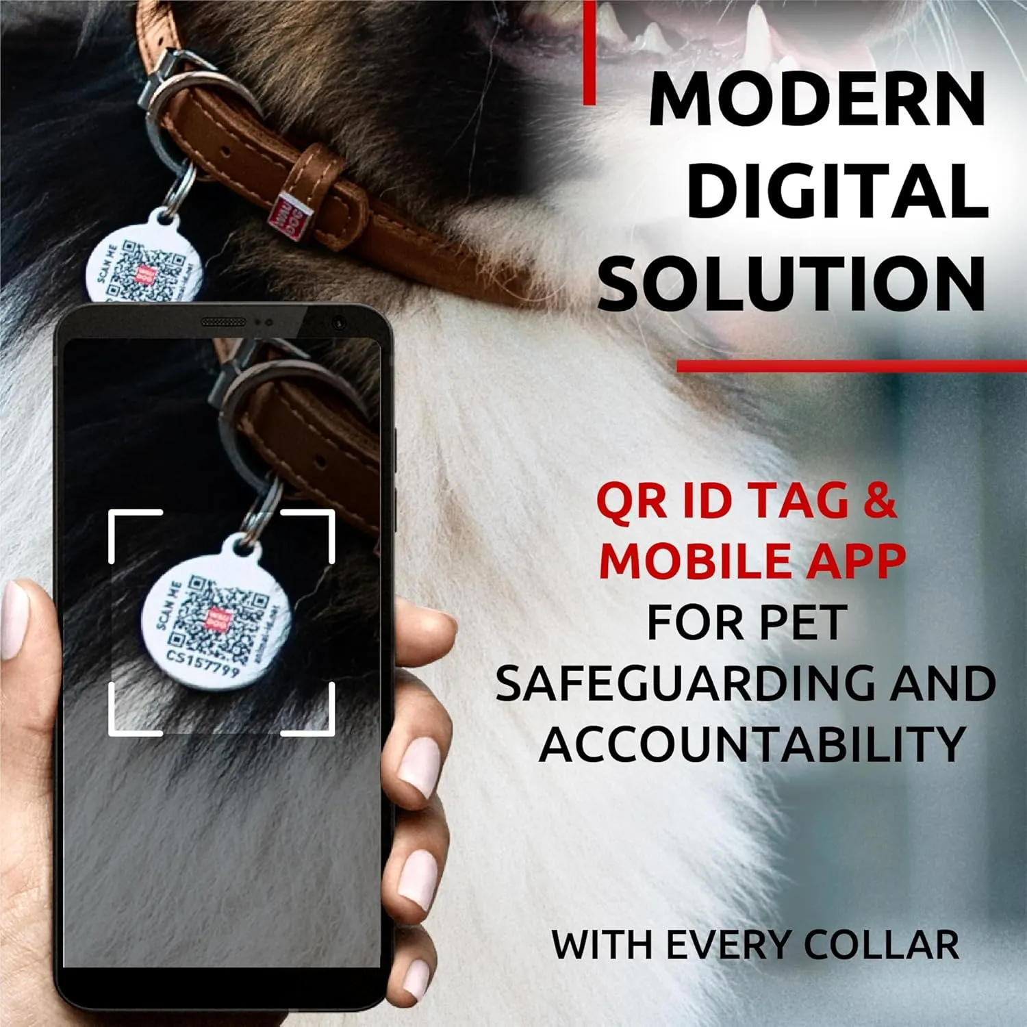 WAUDOG Ultra Soft Rolled Leather Collar - Soft Padded for Small, Medium, and Large Dogs - Puppy Collar for Male and Female Dogs