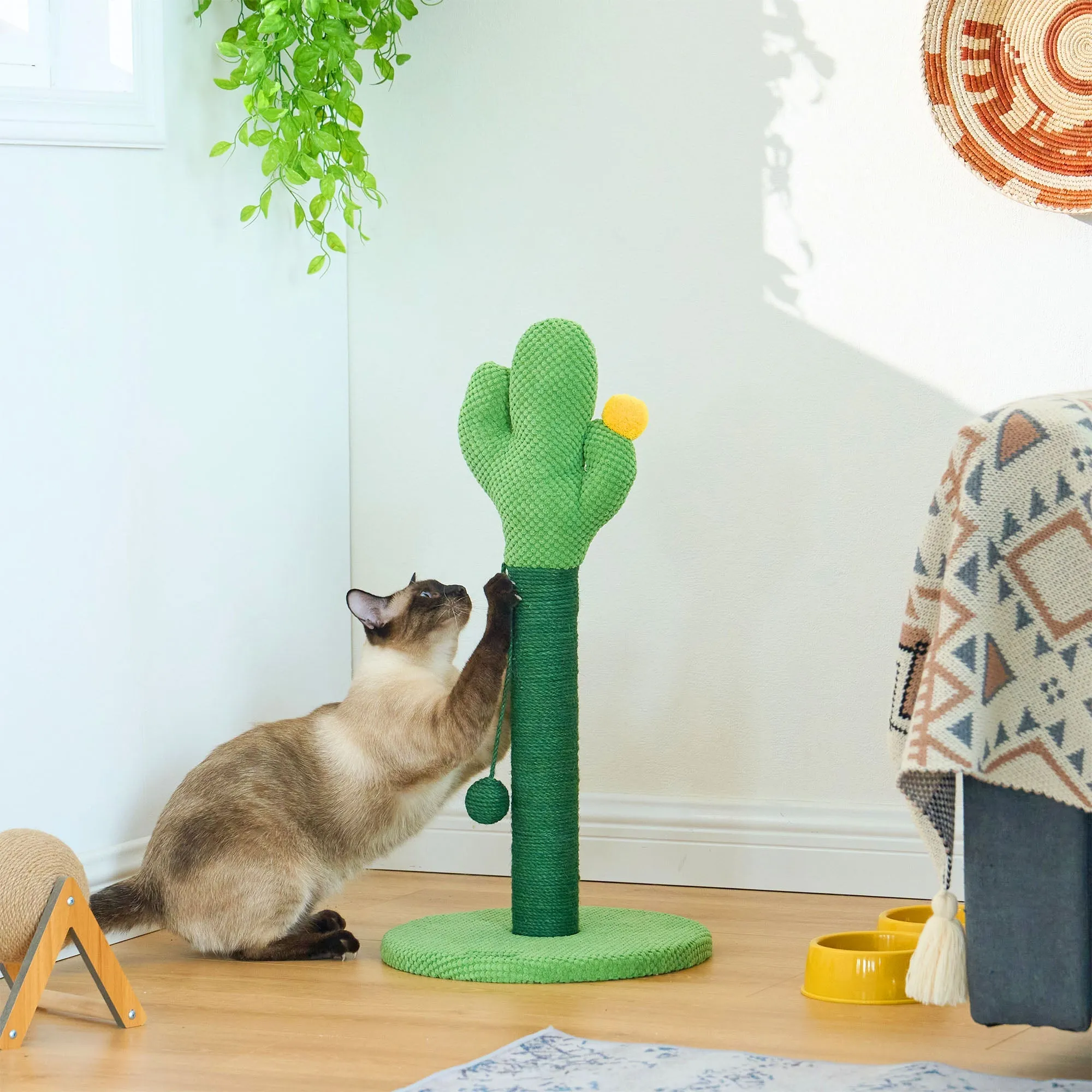 Whiskers' Oasis Set
