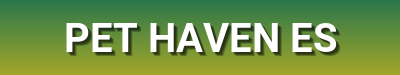 Healthy Dog Treats, Gourmet Cat Food, Interactive Toys, Grooming & Comfort – Premium Pet Products